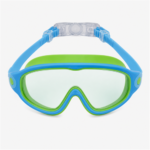 Training Swimming Goggles SSG-TR-213-BL-GN